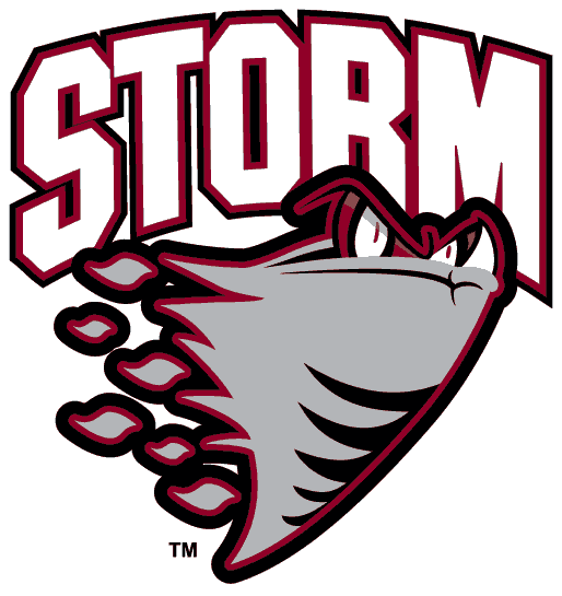Guelph Storm 1995 -pres primary logo iron on transfers for clothing